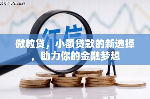 锡山微粒贷，小额贷款的新选择，助力你的金融梦想