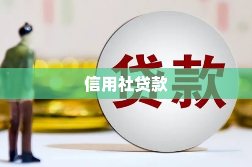 柞水信用社贷款