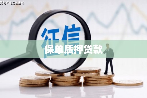 徐闻保单质押贷款