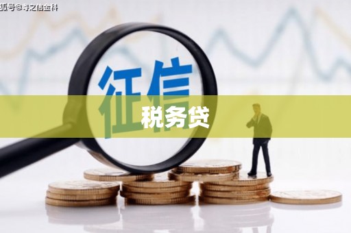 徐闻税务贷