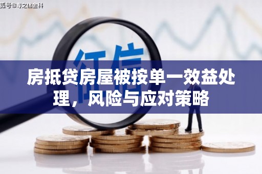 丰满房抵贷房屋被按单一效益处理，风险与应对策略