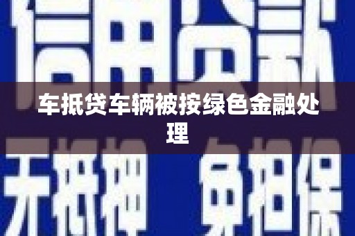 雷山车抵贷车辆被按绿色金融处理