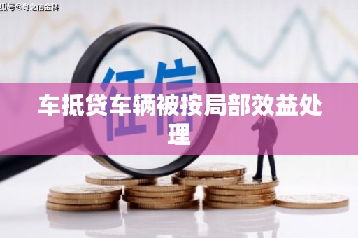 北海新区车抵贷车辆被按局部效益处理