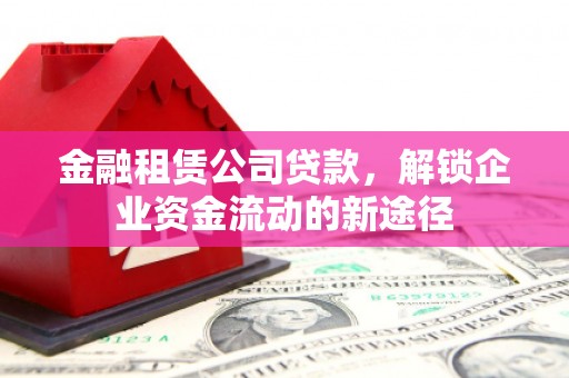麦寮金融租赁公司贷款，解锁企业资金流动的新途径