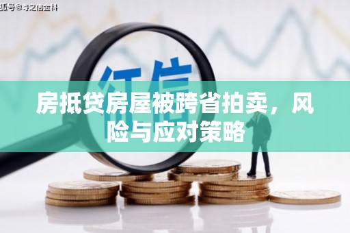 庐阳房抵贷房屋被跨省拍卖，风险与应对策略
