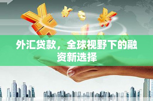 长治外汇贷款，全球视野下的融资新选择