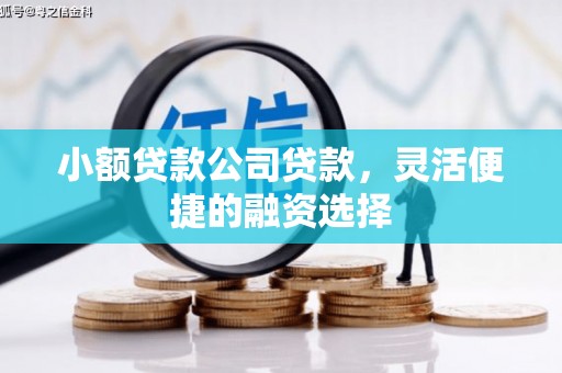 新巴尔虎左旗小额贷款公司贷款，灵活便捷的融资选择