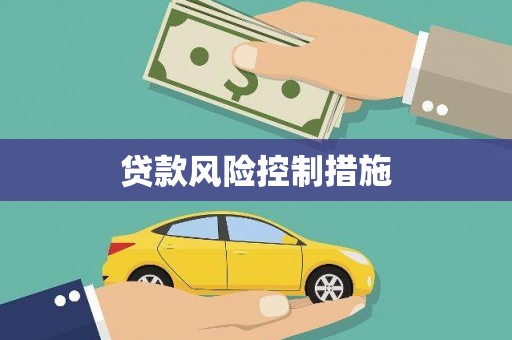 新县贷款风险控制措施