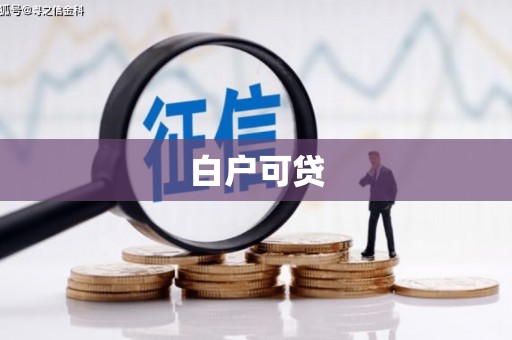 大埔白户可贷
