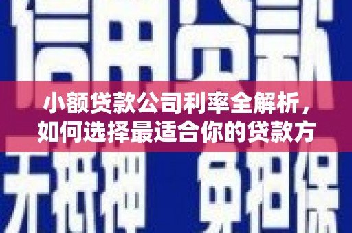 塔河小额贷款公司利率全解析，如何选择最适合你的贷款方案？