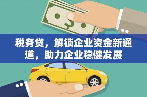 田中税务贷，解锁企业资金新通道，助力企业稳健发展