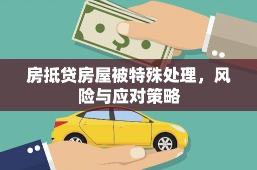 隆化房抵贷房屋被特殊处理，风险与应对策略