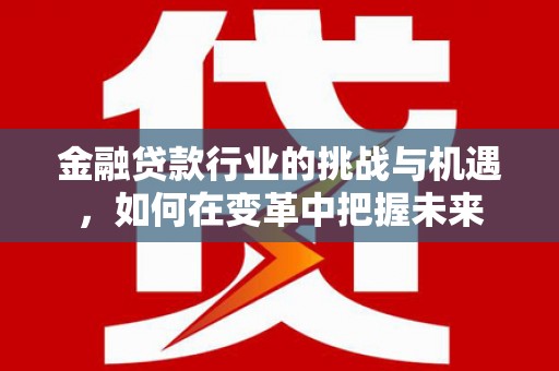 儋州金融贷款行业的挑战与机遇，如何在变革中把握未来