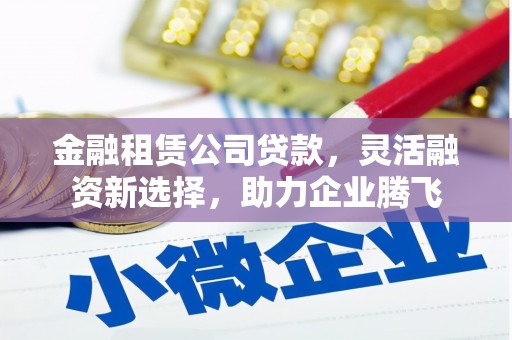 宿松金融租赁公司贷款，灵活融资新选择，助力企业腾飞