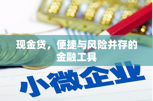 阜平现金贷，便捷与风险并存的金融工具