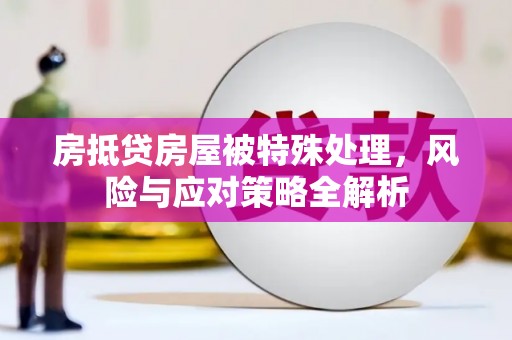 阜平房抵贷房屋被特殊处理，风险与应对策略全解析