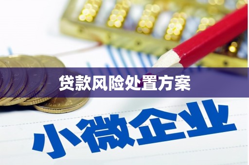 洮南贷款风险处置方案