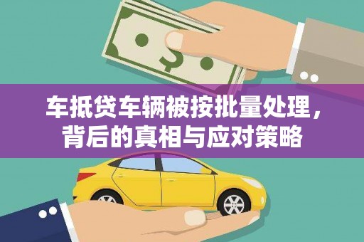 宁德车抵贷车辆被按批量处理，背后的真相与应对策略