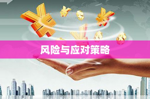 昭阳风险与应对策略