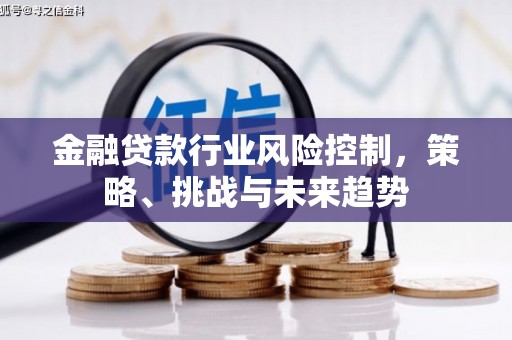 邢台金融贷款行业风险控制，策略、挑战与未来趋势