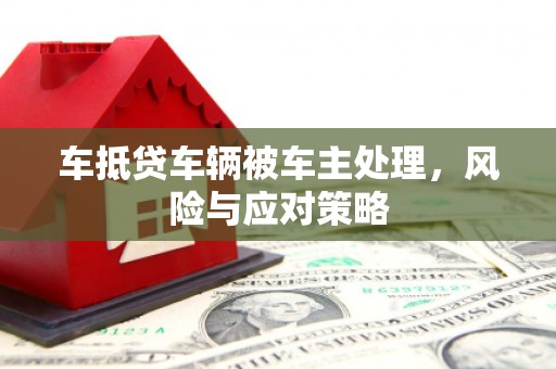 范县车抵贷车辆被车主处理，风险与应对策略