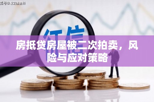 鼎湖房抵贷房屋被二次拍卖，风险与应对策略