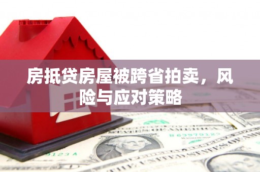 融水房抵贷房屋被跨省拍卖，风险与应对策略
