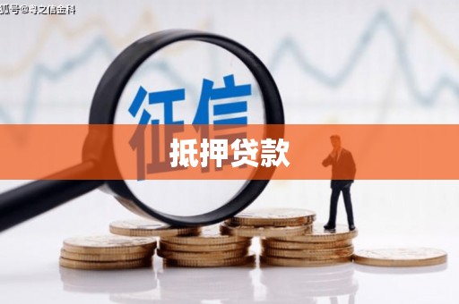 习水抵押贷款