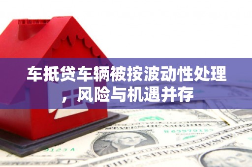 裕民车抵贷车辆被按波动性处理，风险与机遇并存