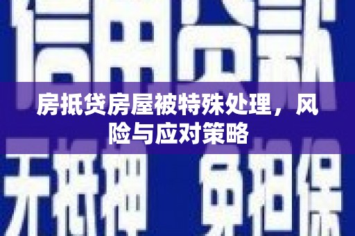 永善房抵贷房屋被特殊处理，风险与应对策略