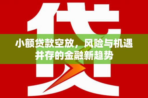 大甲小额贷款空放，风险与机遇并存的金融新趋势