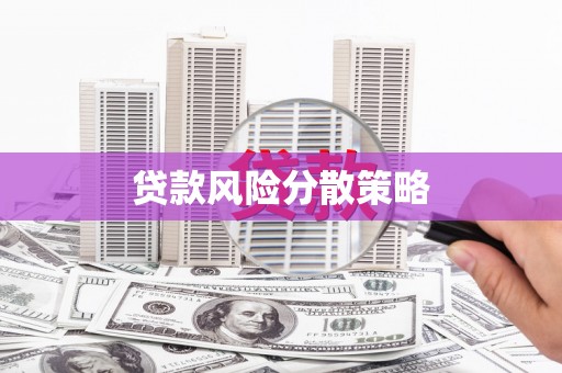 大甲贷款风险分散策略
