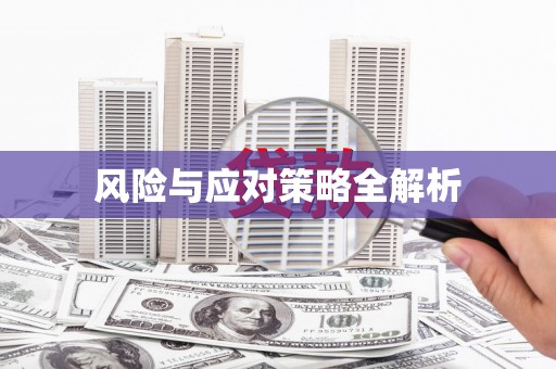隆子风险与应对策略全解析