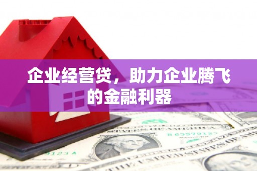 湖南企业经营贷，助力企业腾飞的金融利器