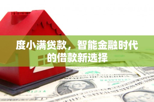 林园度小满贷款，智能金融时代的借款新选择
