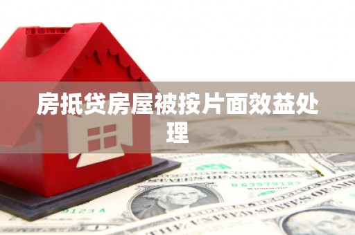 蒲江房抵贷房屋被按片面效益处理