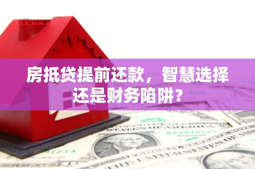 阳山房抵贷提前还款，智慧选择还是财务陷阱？