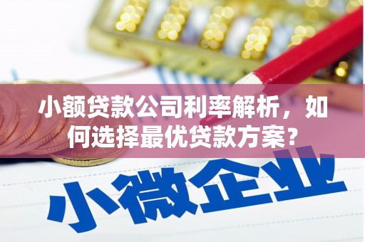 柘荣小额贷款公司利率解析，如何选择最优贷款方案？