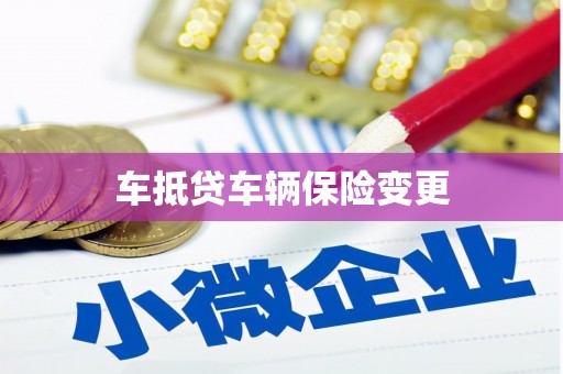 湖西车抵贷车辆保险变更