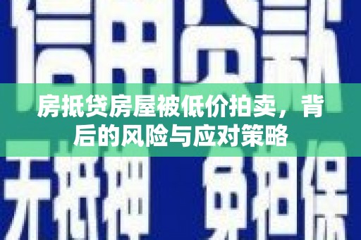 尼木房抵贷房屋被低价拍卖，背后的风险与应对策略
