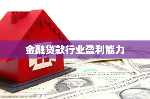 伸港金融贷款行业盈利能力