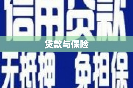 恩阳贷款与保险