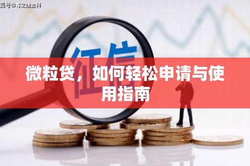 泽州微粒贷，如何轻松申请与使用指南
