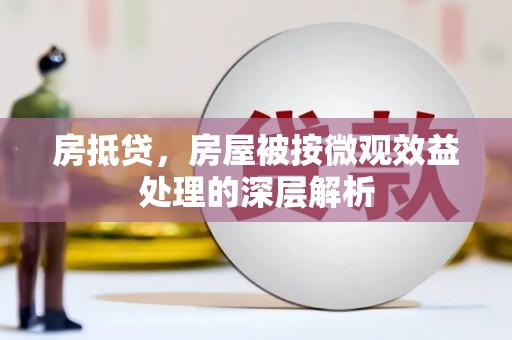 南州房抵贷，房屋被按微观效益处理的深层解析