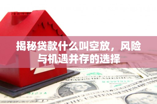 南州揭秘贷款什么叫空放，风险与机遇并存的选择