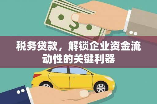 新会税务贷款，解锁企业资金流动性的关键利器