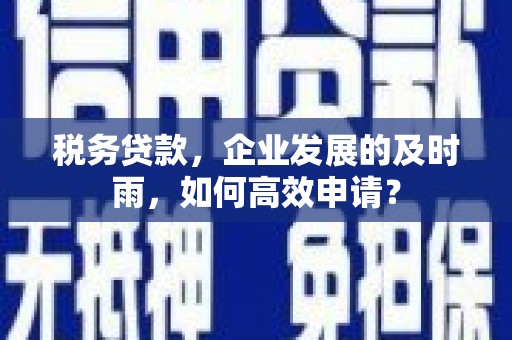 莱阳税务贷款，企业发展的及时雨，如何高效申请？