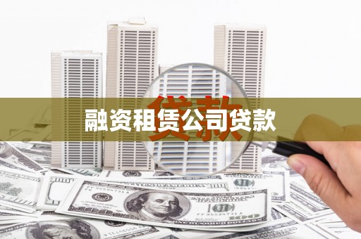 新和融资租赁公司贷款