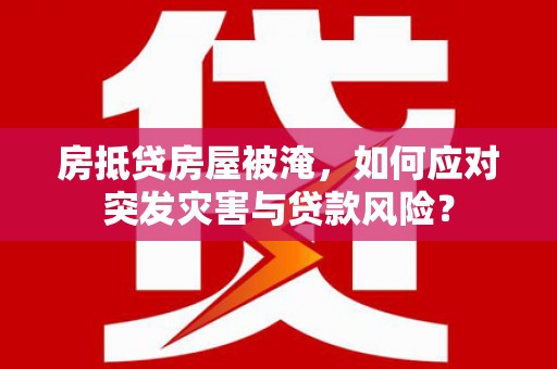桃园房抵贷房屋被淹，如何应对突发灾害与贷款风险？