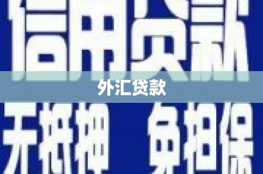 湖滨外汇贷款